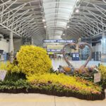 在地花卉藝術妝點清泉崗機場！　洪易雕塑x台中文心蘭跨域聯展登場