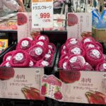 高雄紅龍果首度進軍日本市場！-攜手關西最大批發商登上13家連鎖超市舉辦試吃活動