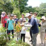 2025大坑蝶螢嘉年華締造跨國感動　日本博士生親證台灣紫斑蝶魅力