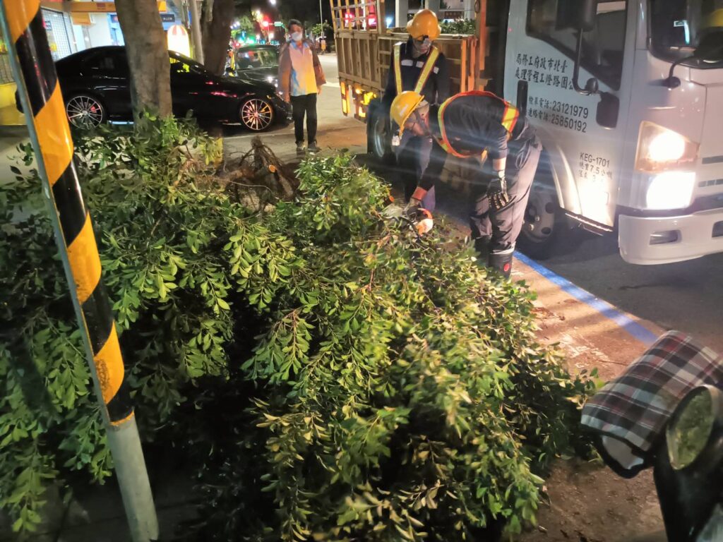 有牌的樹木修容師 專業剪刀手晴雨出任務