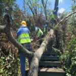 確保遊客安全　蘭潭後山步道延後開放至8月中旬評估