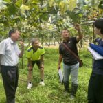 台中市優質葡萄永續領鮮市級評鑑結果揭曉　農友王坤達勇奪五星獎殊榮