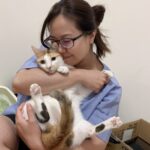 久坐，是身體失衡的溫水煮青蛙-/-寵貓物理治療師-云菁；告訴你怎麼活起來