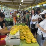 台中市優質葡萄、水蜜桃、高接梨於台北希望廣場展售　中市農業局力邀民眾選購優質農產品