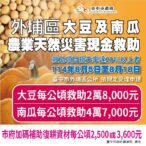 中市外埔區大豆及南瓜災損-　8/18前可申請現金救助