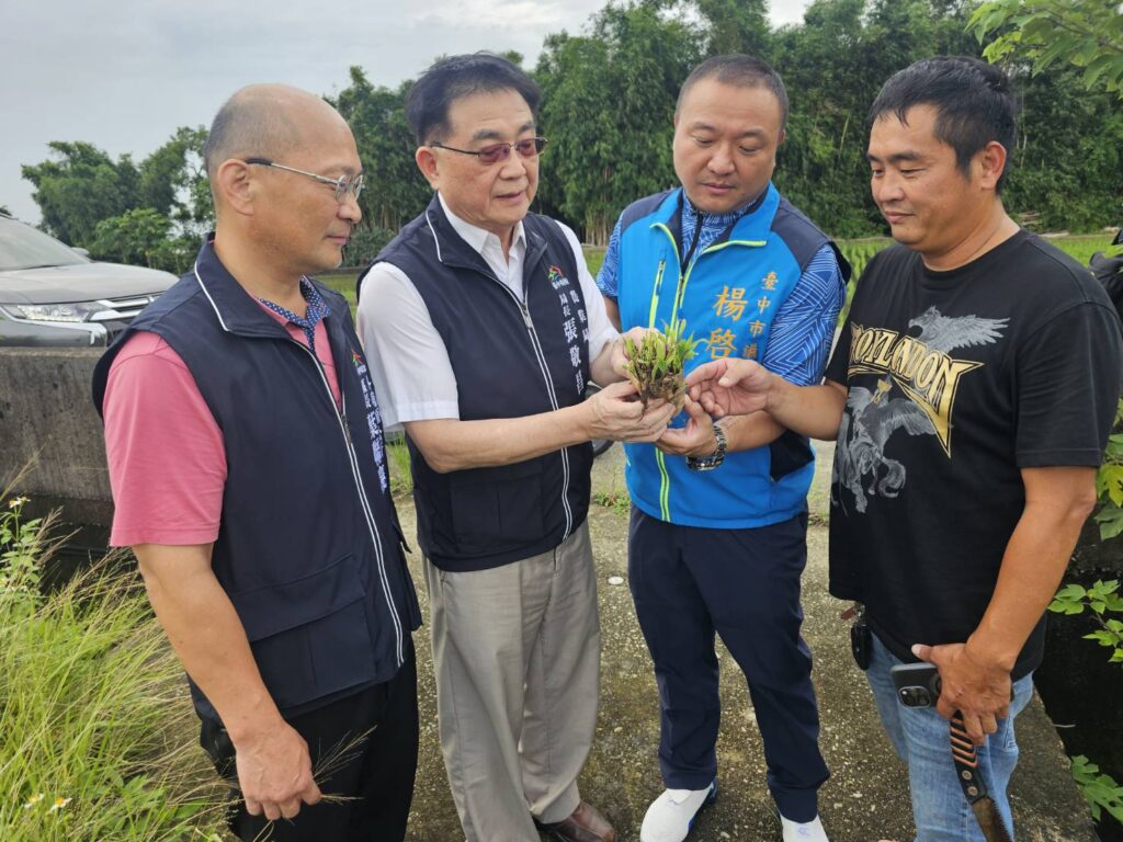 連日豪雨農損嚴重　中市府呼籲農友拍照紀錄通報並依限申請救助金