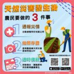 豪雨過後注意病害防治　中市府呼籲農友儘速復耕並依限申請救助