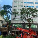 北市公園處啟動防颱機制　完成楊柳颱風防災整備