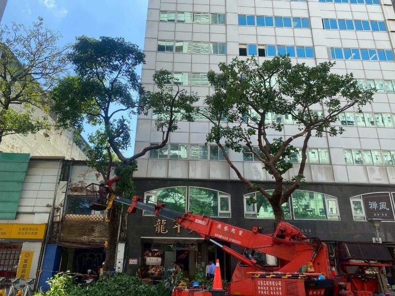 北市公園處啟動防颱機制　完成楊柳颱風防災整備