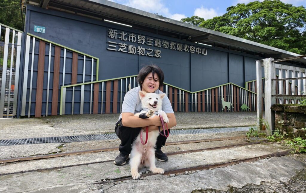 躲過路殺危險　流浪毛寶貝阿吉與新北動保員共譜生命故事