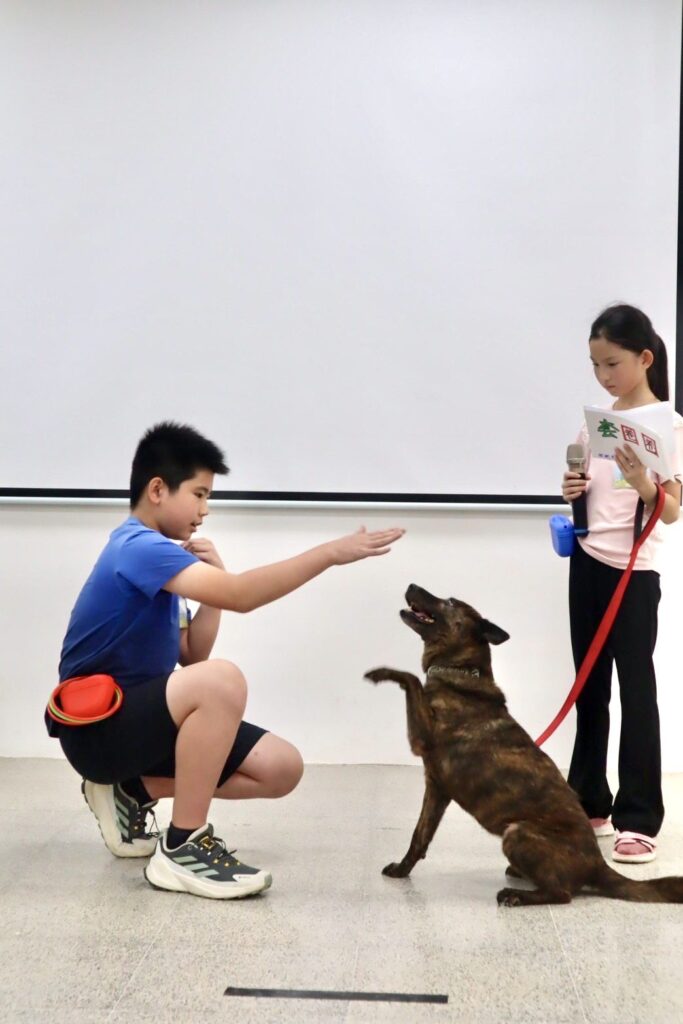 來台中市動物之家陪毛孩fun一夏！　2025療癒犬夏令營登場　