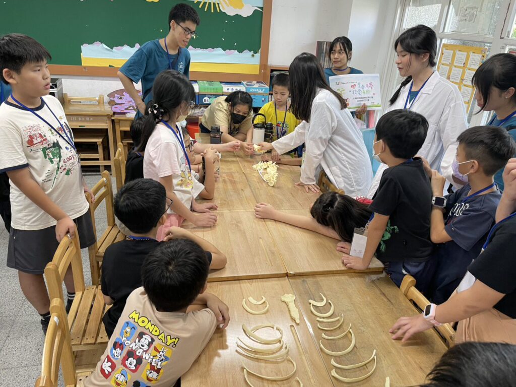 馬偕小小醫生上課囉　解剖摸骨學童們超興奮