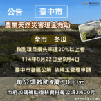中市冬瓜災損-9/4前可申請現金救助