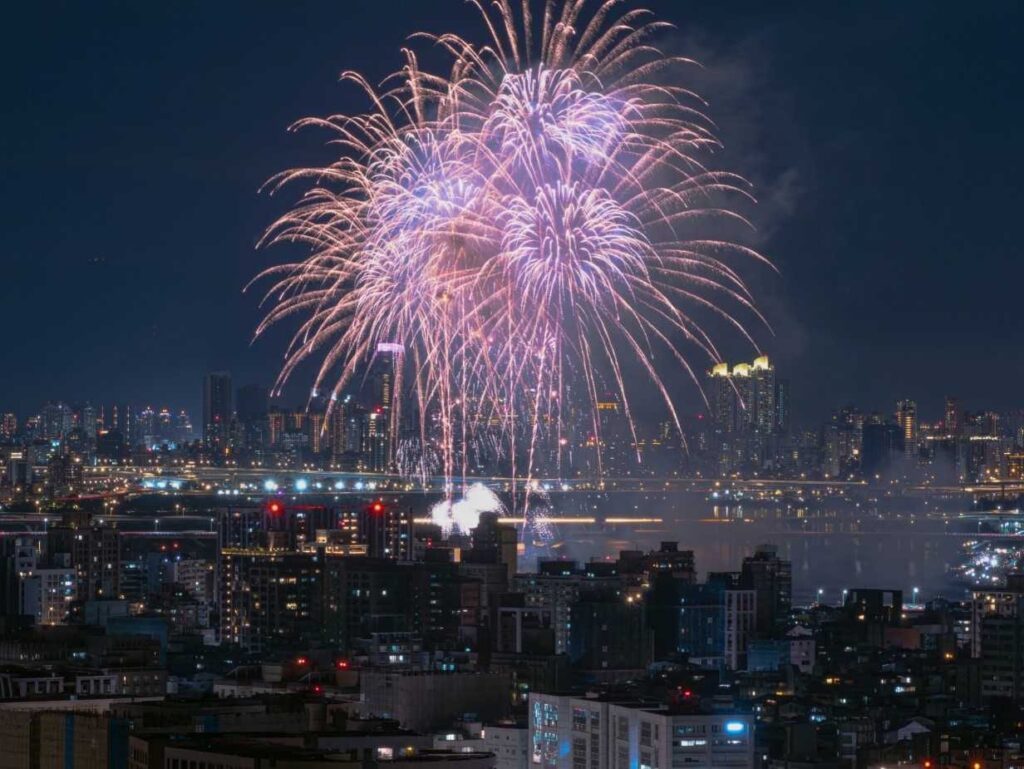 圓山新亮點「森林方舟」　帶你航向大稻埕的八月煙花