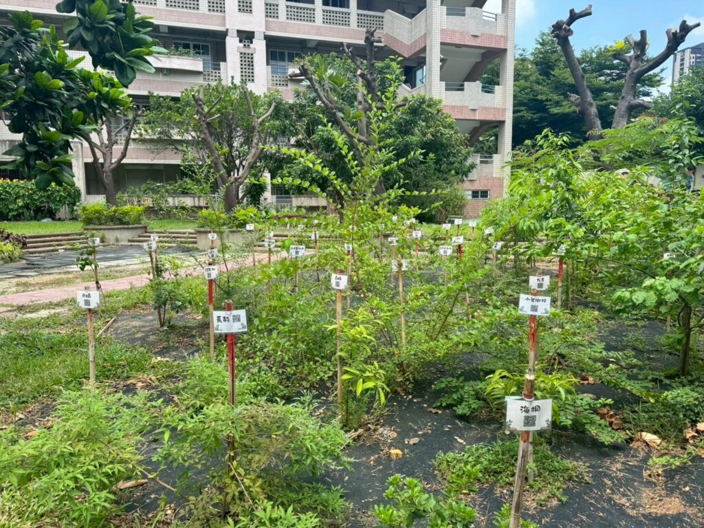 從樹苗到森林 中市教師共同打造淨零綠校園藍圖