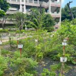 從樹苗到森林　中市教師共同打造淨零綠校園藍圖