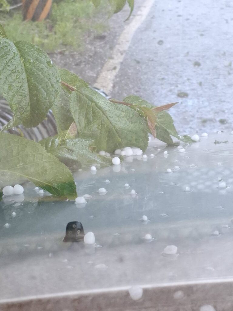 梨山地區下冰雹 中市府持續關心對農作物生產影響