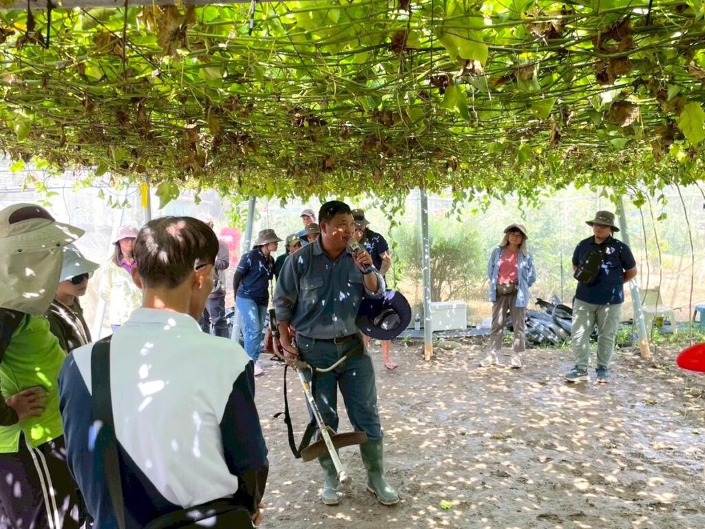 高雄市政府農業局推動百香果去藤觀摩實機上陣-採後清園輕鬆上手