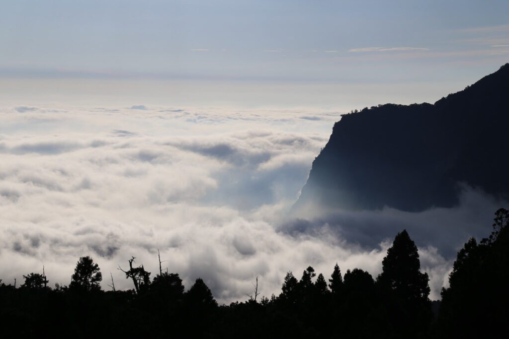 阿里山賓館推鐵道秘境-山村小旅行套裝遊程