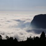 阿里山賓館推鐵道秘境-山村小旅行套裝遊程