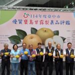 農友曾瑞東勇奪寶島甘露梨王! 台中市寶島甘露梨果品評鑑結果揭曉