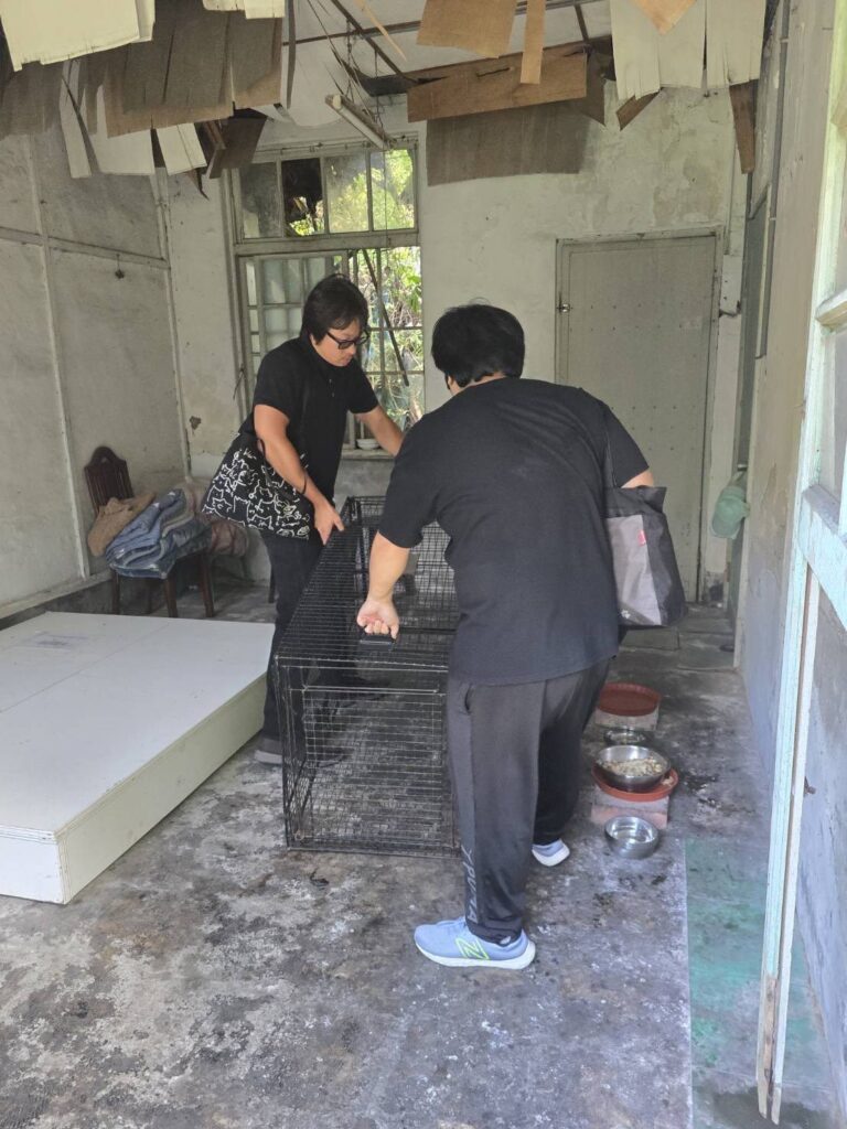 暖暖托嬰中心周邊流浪犬聚集　基市府該呼籲民眾勿餵養