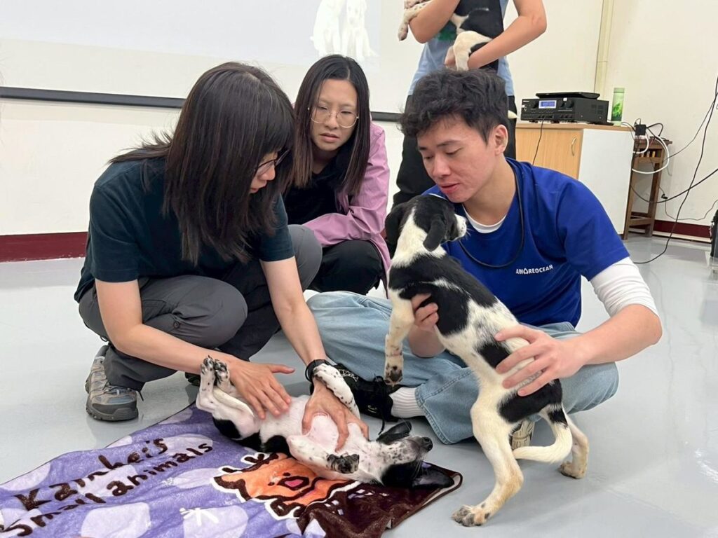 大家一起毛起來學「狗語」！高市動保處暑期訓犬課程圓滿落幕　助飼主及毛孩同步升級吸引超過200人次參與