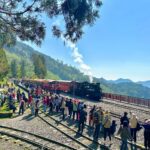 穿梭百年林鐵！阿里山忘憂之旅　10月連假出發