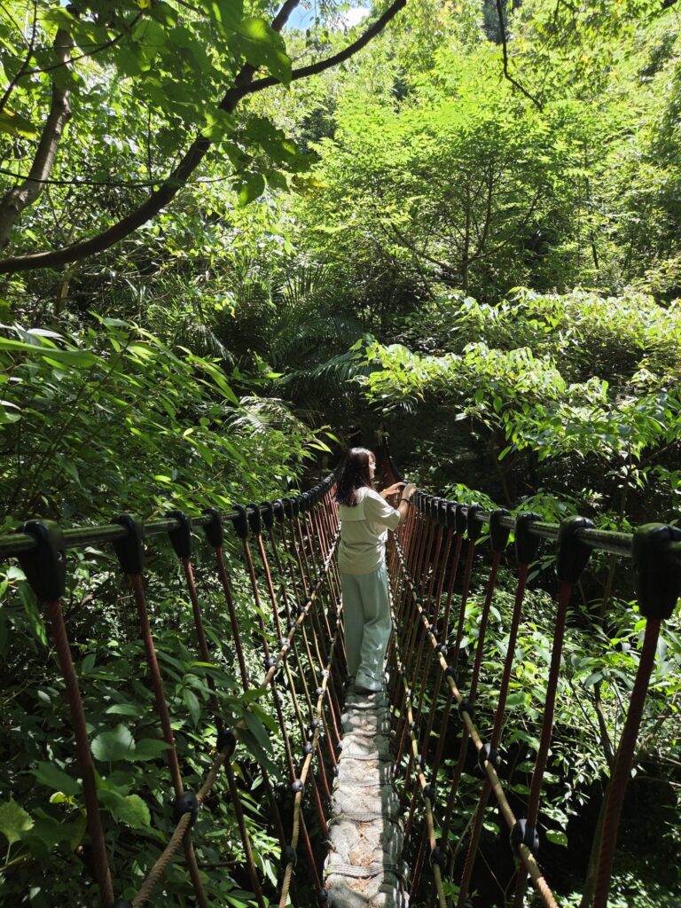教師節小旅行首選　走訪北投湖山社區體驗食農與人文之美