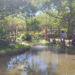 大安森林公園活水飛輪　運動健身兼顧生態教育新亮點