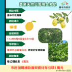 中市后里區檸檬災損-　9/19前可申請現金救助