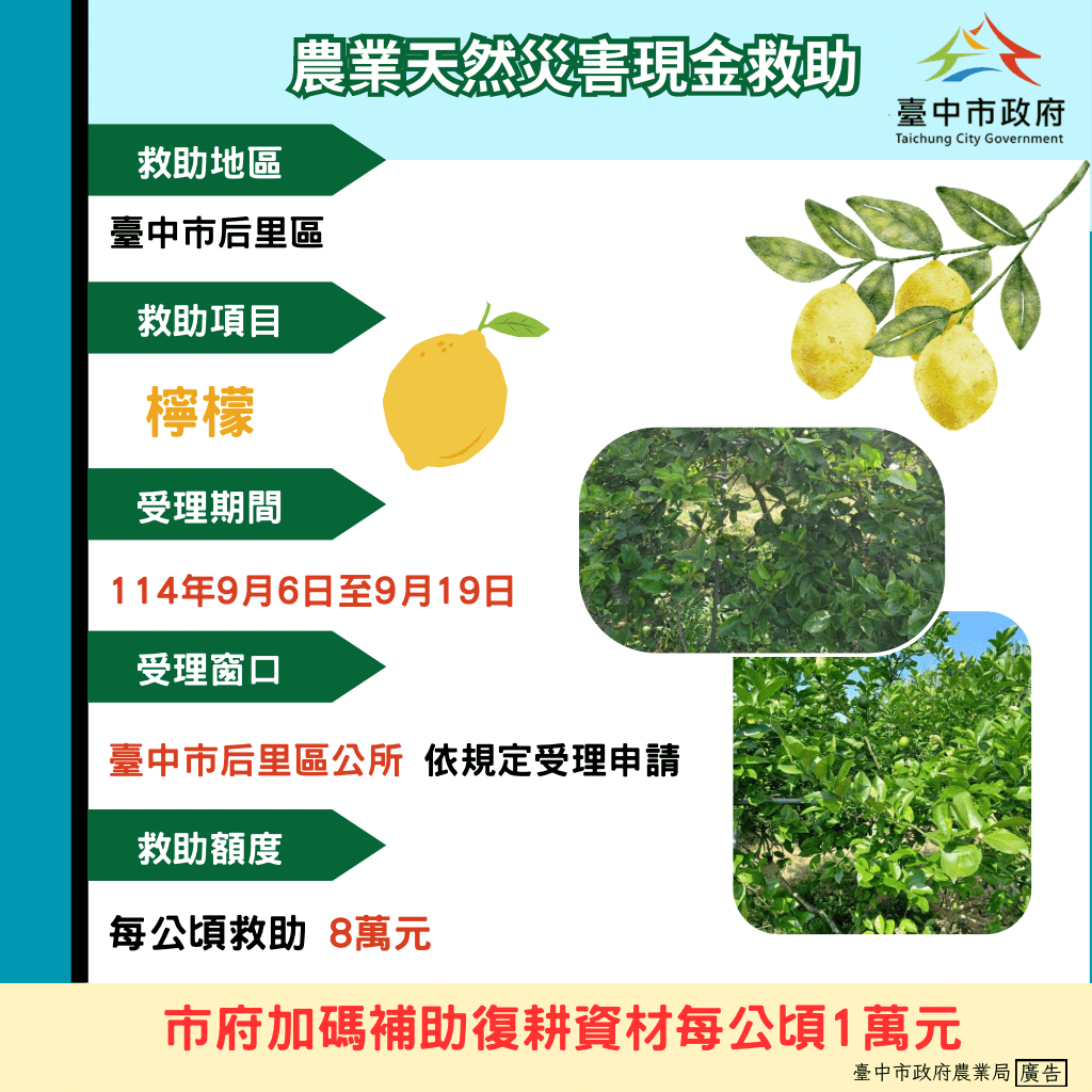 中市后里區檸檬災損-　9/19前可申請現金救助