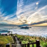 秋遊嘉義絕景！隙頂雲海步道、茶香公路漫旅