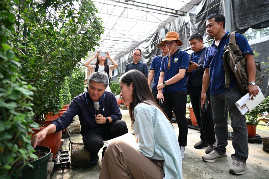 士林官邸菊展揚名吸引泰團來訪　公園處分享獨門菊藝