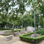 花草多感體驗　林森公園打造綠植角落