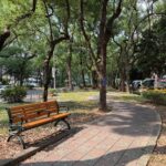 降溫3度！北市仁愛路「天然冷氣房」真相大公開