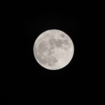 為什麼佳節一定要回家？答案藏在中秋與重陽