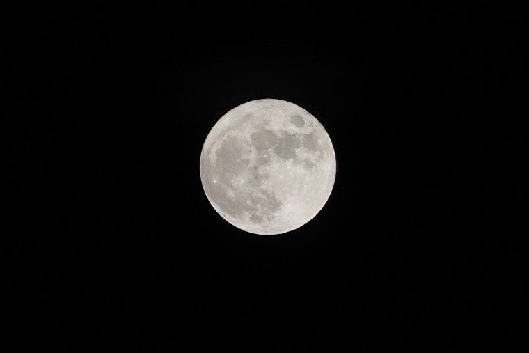 為什麼佳節一定要回家？答案藏在中秋與重陽