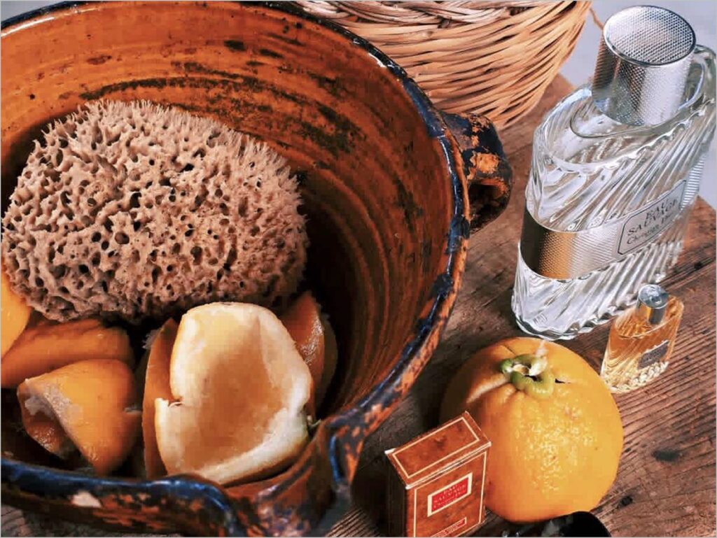 issa佛手柑溯源研習會　探索佛手柑的黃金氣味