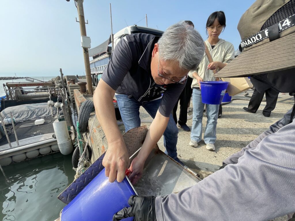 60萬尾魚苗放回大海　中市松柏漁港魚苗放流體驗海洋生態