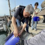 60萬尾魚苗放回大海　中市松柏漁港魚苗放流體驗海洋生態