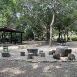 低碳中秋「無煙團聚」！　中市府推賞月賞景取代傳統烤肉