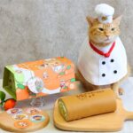 亞尼克ytm進駐高雄捷運10站　攜手「蜜柑站長」萌力登場