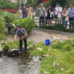 揭密黑天鵝長居秋紅谷原因！　中市邀您中秋節「賞鵝踏青」