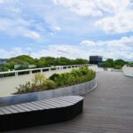 五股環保藝術公園跨河景觀橋啟用　侯友宜：打造友善美感空間