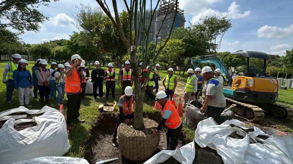 產官學力挺創新! 首次導入「空氣盆」-中央公園全樹型示範移種植觀摩獲好評