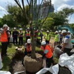 產官學力挺創新！　首次導入「空氣盆」-中央公園全樹型示範移種植觀摩獲好評