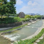 台中市軟埤仔溪水環境改善工程再添佳績　榮獲2025年建築園冶獎！