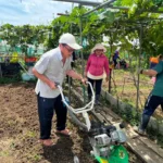 台中國際身障日系列活動開跑　表揚徵選10/3截止收件