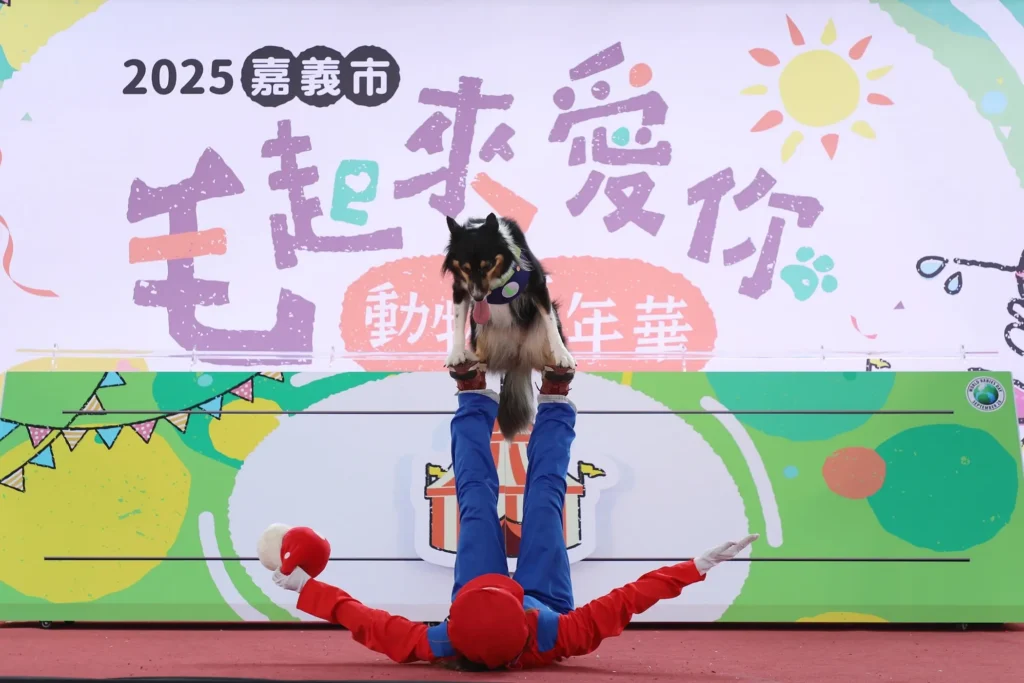 「毛起來愛你」動物嘉年華　嘉義市打造毛孩專屬幸福天地